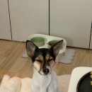 진달래노래방 | 11월 일상 냄겨두기 쇽쇽-