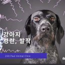 초콜릿종합동물병원 이미지