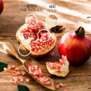 참샘환경 이미지