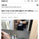 원갤러리 이미지