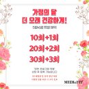 메디앤권 | 메디앤핏 여덟번째 PT후기 | 전신 밸런스를 맞추기