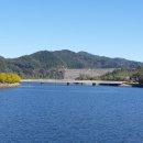 낙동강종주로 이미지