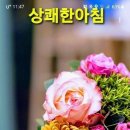 기분좋은하루