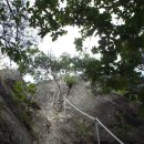 금학산관광농원 이미지