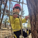 🌈솜팡 - 신나는 짚라인 탔어요🌈 이미지