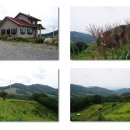 봉의농장 이미지