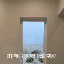 제주키즈가족겸손스테이