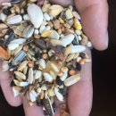 버드코리아 이미지