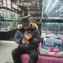 내 품안의 반려견(강서점) 이미지