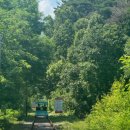 면, 빵 좋아하고 운동은 싫어 당뇨병 전 단계에 고지혈증까지, 왜? 이미지