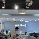 벤처가구 | 목동 행복한백화점 4층 가구톡세상 신혼부부 가구장만 후기