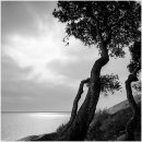 그 해 가을 이미지