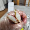 영신수산 이미지