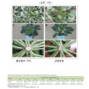 신기면행정복지센터 이미지