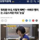 자칭 보수 일간지의 미의 기준 이미지