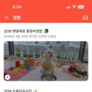 털로덮인친구들 시흥배곧점 네이버블로그