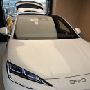 오토7(AUTO7) | BYD Auto 천안전시장 방문 찐 후기 씨라이언7 구매후기