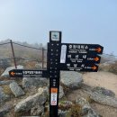 5월 30일 원정산행 설악산 대청봉 이미지