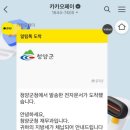 카카오지방세