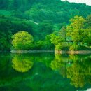 싹쓸이축산