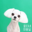 뭉치네 미용실 이미지