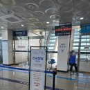 장호바다숲폔션 | 삼척 해상케이블카 후기 용화 -장호항 왕복 코스, 요금, 대기시간 정리