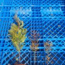 종만농장 이미지