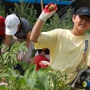 궁현2리 이미지