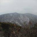 학운초교 이미지