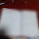 Blackbird | 발동, 케언즈 첫 정전사건, 케언즈 커피 맛집, blackbird, TFN 텍스 번호 신청하기, 플랫메이트 앱...