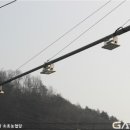 농협 앞 횡단보도 이미지