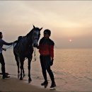 해맞이승마클럽 이미지