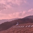 장곡사(장승문화축제장 인근) | 충남 청양 천장호 출렁다리 가족나들이 데이트코스 여행지 추천