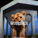 (주)미디어캔버스 | 파주 가볼만한곳 실내 데이트 뮤지엄헤이 미디어아트