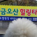 금오산 풀타운 이미지