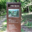 파주삼릉 이미지