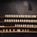 진저로지스 이미지