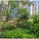 포스코더샵114공인중개사사무소 | 광주더샵염주센트럴파크부동산 믿고 맡기는 더샵염주포스코 부동산 후기