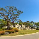 경주컨트리클럽 이미지