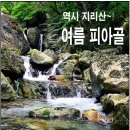 ★ 9월 4일 지리산 노고단.피아골 정기산행 공지 ★ 이미지