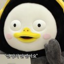 투어매니아 이미지