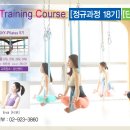 [서울,경기] 11월 스카이요가(플라잉) SKY.YOGA -SKY[정규과정]/ SKY[단기과정] 지도자 모집 안내 이미지