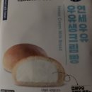 연세 다윗 이미지