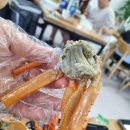 탁 수산 이미지