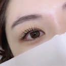쁨래쉬 네이버블로그
