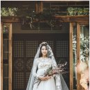 디자인스튜디오비비드