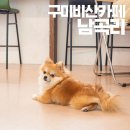 비산로7길-1 이미지