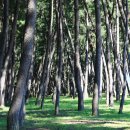 하동포구공원1 이미지