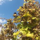 골짜기농장 이미지