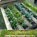 가보농장 이미지